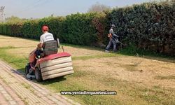 Yeşil alanlarda bakım ve çim biçme çalışması