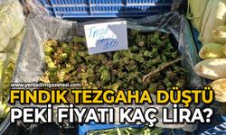 Fındık tezgaha düştü: Peki, fiyatı kaç lira?
