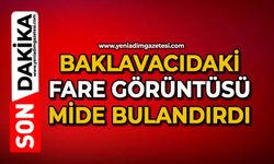 Baklavacıdaki fare görüntüsü mide bulandırdı