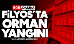 Filyos’ta orman yangını!