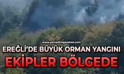 Ereğli'de büyük orman yangını: Ekipler bölgeye sevk edildi