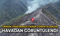 Orman yangınında zarar gören alanlar havadan görüntülendi