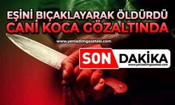 Eşini bıçaklayarak öldürdü: Cani koca gözaltında