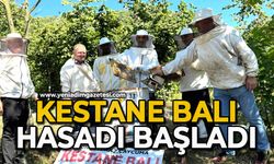 Kestane balı hasadı başladı