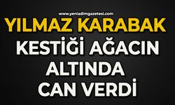 Yılmaz Karabak kestiği ağacın altında can verdi