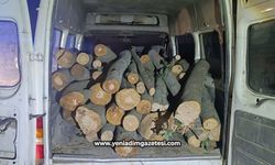 1 ton kaçak orman ürünü ele geçirildi