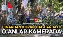 Çınardan kopan dal can aldı: O anlar kamerada