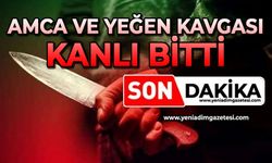 Amca ve yeğen kavgası kanlı bitti