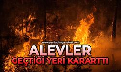 Alevler geçtiği yeri kararttı