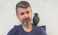 Besle kargayı, dostun olsun