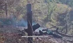 Kastamonu’da ormanlık alanda çıkan yangın büyümeden söndürüldü