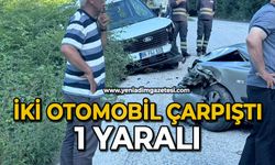 İki otomobil çarpıştı: 1 yaralı