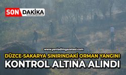 Düzce-Sakarya sınırındaki orman yangını kontrol altına alındı