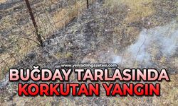 Buğday tarlasında korkutan yangın