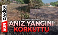 Anız yangını korkuttu