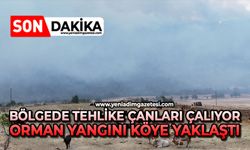 Bölgede tehlike çanları çalıyor: Orman yangını köye yaklaştı