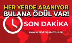 Her yerde aranıyor: Bulana ödül var!