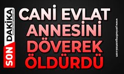 Cani evlat annesini döverek öldürdü