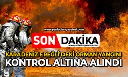 Karadeniz Ereğli’deki orman yangını kontrol altına alındı