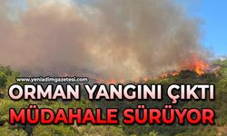 Orman yangını çıktı: Müdahale sürüyor