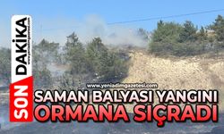 Saman balyası yangını ormana sıçradı