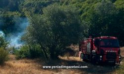 Ormanlık alanda çıkan yangın büyümeden söndürüldü