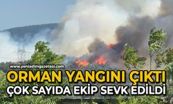 Orman yangını çıktı: Çok sayıda ekip sevk edildi