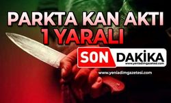 Parkta kan aktı: 1 yaralı