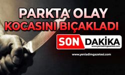 Parkta olay: Kocasını bıçakladı