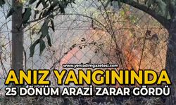 Anız yangınında 25 dönüm alan zarar gördü