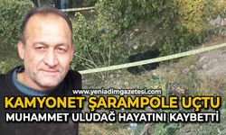 Kamyonet şarampole uçtu: Muhammet Uludağ hayatını kaybetti