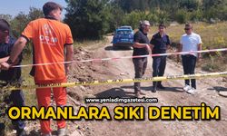 Ormanlara sıkı denetim