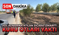 Yol kenarına atılan sigara izmariti, kuru otları yaktı