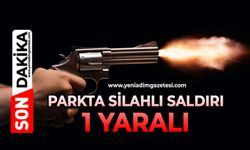 Parkta silahlı saldırı: 1 yaralı