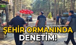 Şehir ormanında denetim!