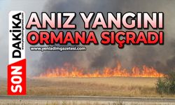 Anız yangını ormana sıçradı