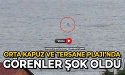 Orta Kapuz ve Tersane Plajı’nda görenler şok oldu