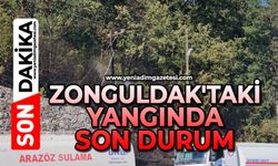 Zonguldak'taki yangında son durum