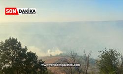 Farklı noktalarında aynı anda çıkan yangınlara müdahale sürüyor