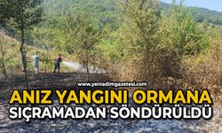 Anız yangını ormana sıçramadan söndürüldü