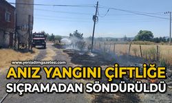 Anız yangını çiftliğe sıçramadan söndürüldü