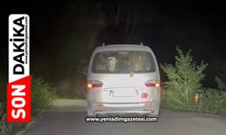 Yangında mahsur kalan hayvanları tahliye ettiler