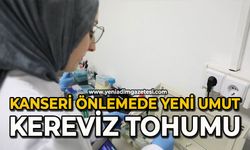 Kanseri önlemede yeni umut: Kereviz tohumu
