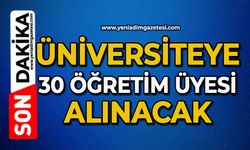 Üniversiteye 30 öğretim üyesi alınacak