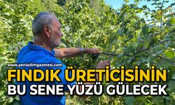 Fındık üreticisinin bu sene yüzü gülecek