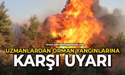 Uzmanlardan orman yangınlarına karşı uyarı