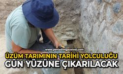 Üzüm tarımının tarihi yolculuğu gün yüzüne çıkarılacak