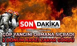 Çöp yangını ormana sıçradı, 2 dönüm arazi zarar gördü