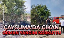 Çaycuma’da çıkan orman yangını korkuttu
