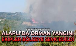 Alaplı’da ormanlık alanda yangın